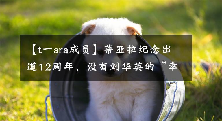 【t一ara成员】蒂亚拉纪念出道12周年，没有刘华英的“幸福4人组”
