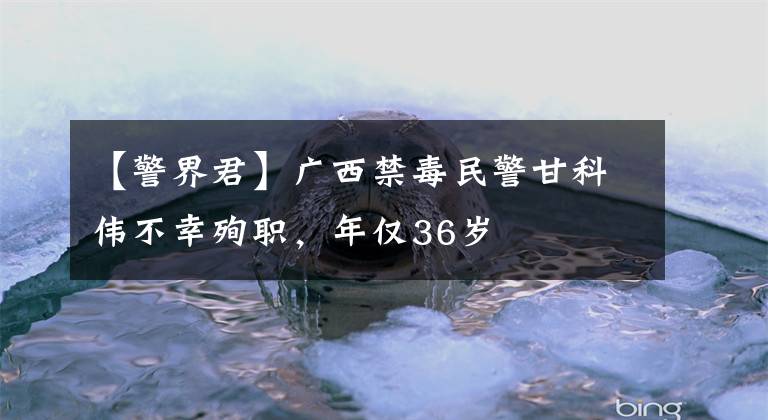 【警界君】广西禁毒民警甘科伟不幸殉职，年仅36岁