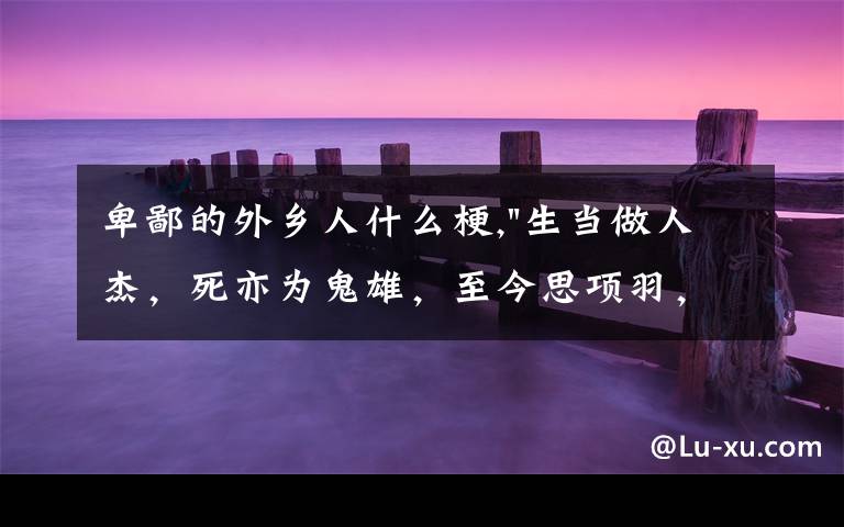 卑鄙的外乡人什么梗,