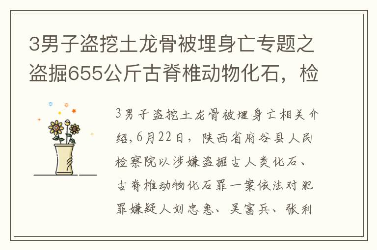 3男子盗挖土龙骨被埋身亡专题之盗掘655公斤古脊椎动物化石，检察院对刘忠惠等人批准逮捕