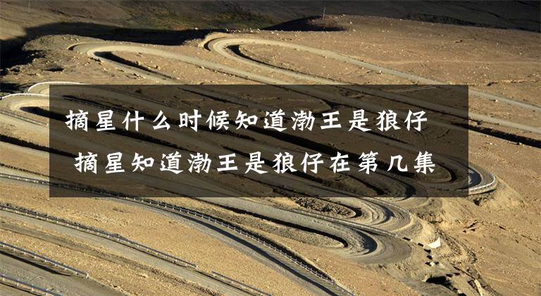 摘星什么时候知道渤王是狼仔 摘星知道渤王是狼仔在第几集 马摘星为什么不爱渤王