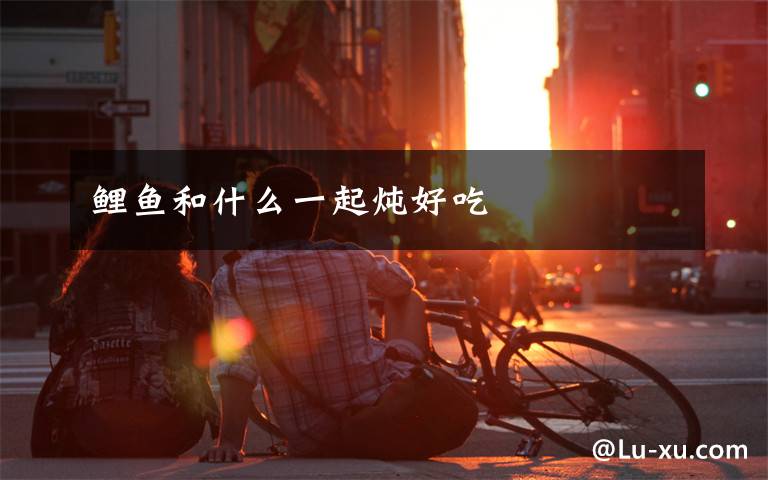 鲤鱼和什么一起炖好吃