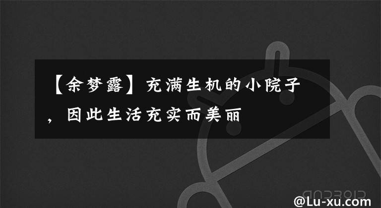 【余梦露】充满生机的小院子，因此生活充实而美丽