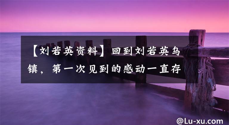 【刘若英资料】回到刘若英乌镇，第一次见到的感动一直存在
