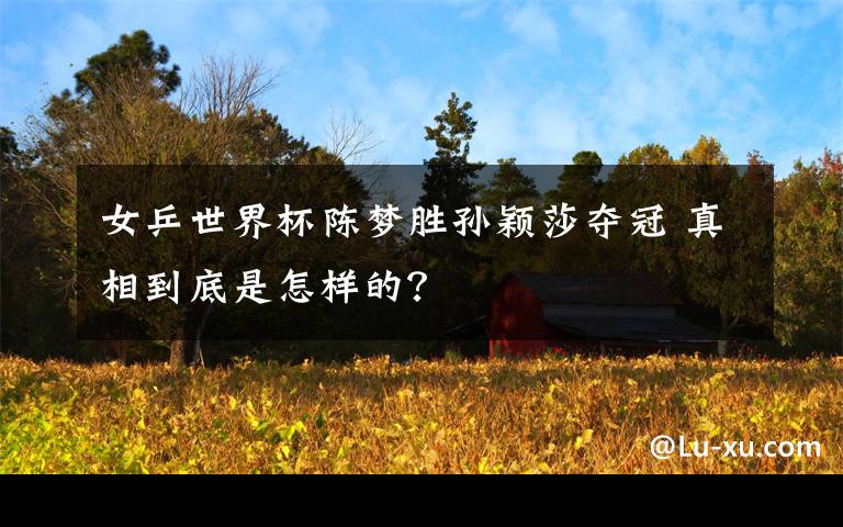 女乒世界杯陈梦胜孙颖莎夺冠 真相到底是怎样的？