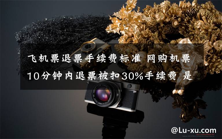 飞机票退票手续费标准 网购机票10分钟内退票被扣30%手续费 是否合理？