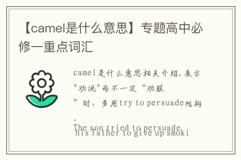 【camel是什么意思】专题高中必修一重点词汇