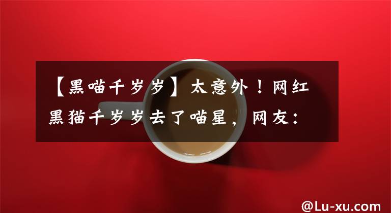 【黑喵千岁岁】太意外！网红黑猫千岁岁去了喵星，网友：它只是隐身了