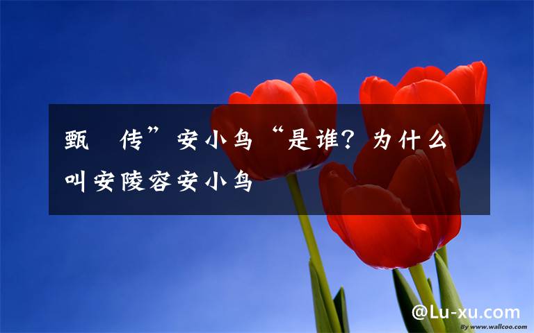 甄嬛传”安小鸟“是谁？为什么叫安陵容安小鸟
