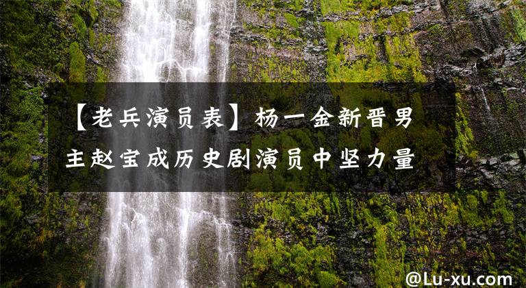 【老兵演员表】杨一金新晋男主赵宝成历史剧演员中坚力量