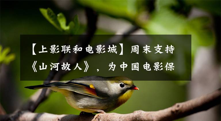 【上影联和电影城】周末支持《山河故人》，为中国电影保持认可！