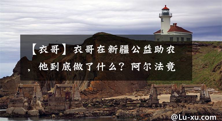 【衣哥】衣哥在新疆公益助农，他到底做了什么？阿尔法竟然为其助阵