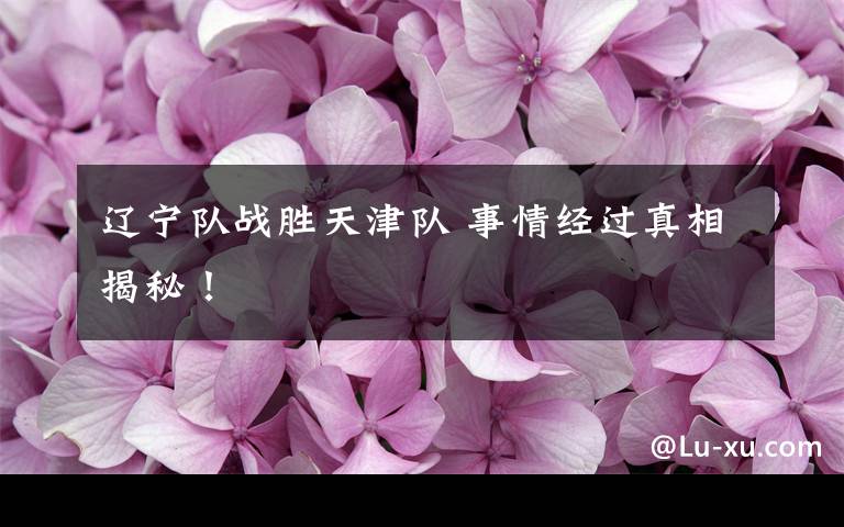 辽宁队战胜天津队 事情经过真相揭秘！