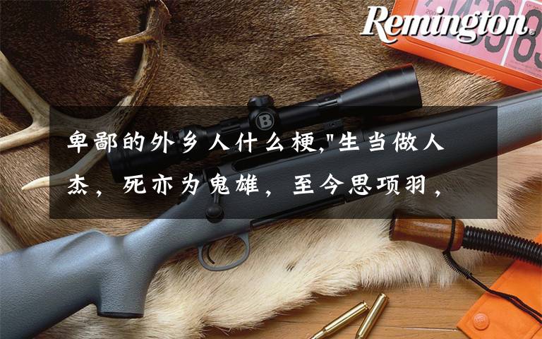 卑鄙的外乡人什么梗,