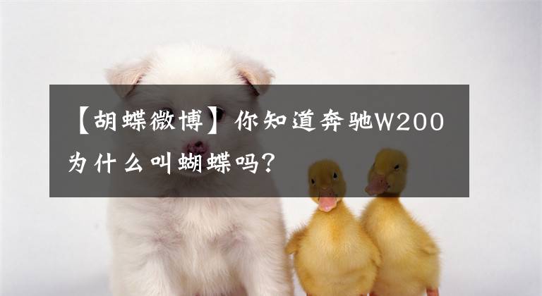 【胡蝶微博】你知道奔驰W200为什么叫蝴蝶吗？