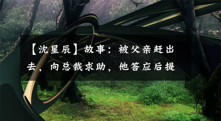 【沈星辰】故事：被父亲赶出去，向总裁求助，他答应后提出了“明天领证”的条件。