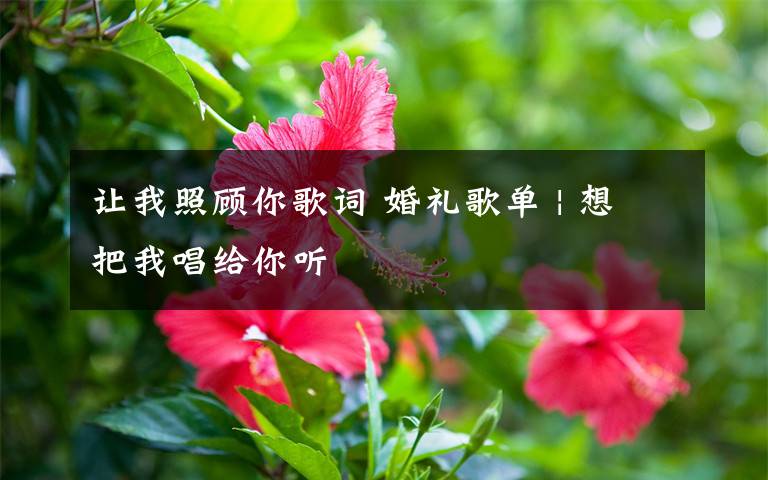 让我照顾你歌词 婚礼歌单 | 想把我唱给你听