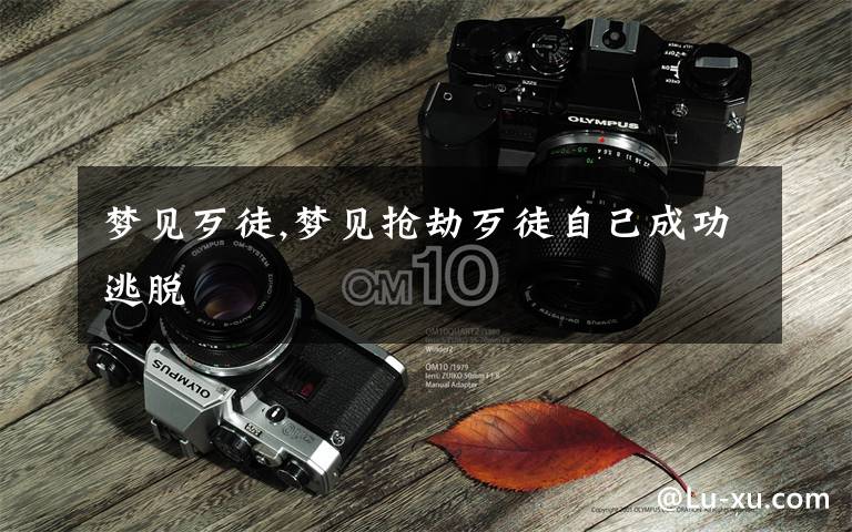 梦见歹徒,梦见抢劫歹徒自己成功逃脱