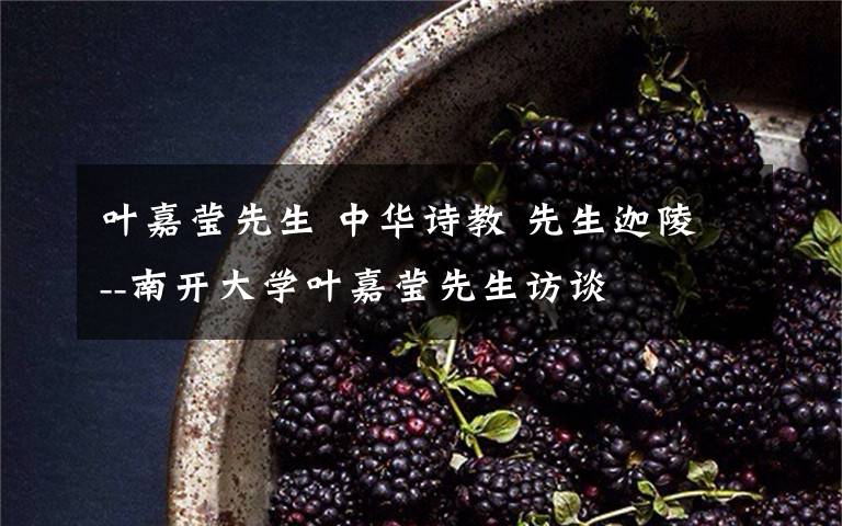 叶嘉莹先生 中华诗教 先生迦陵--南开大学叶嘉莹先生访谈