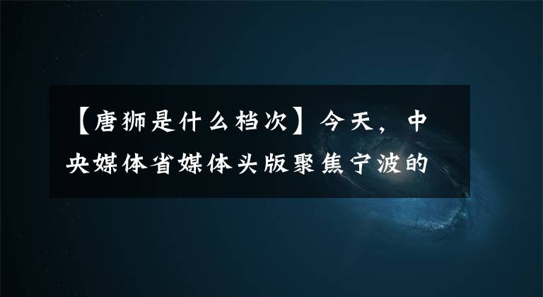 【唐狮是什么档次】今天，中央媒体省媒体头版聚焦宁波的“红色裁缝”。