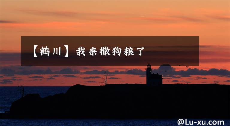【鹤川】我来撒狗粮了