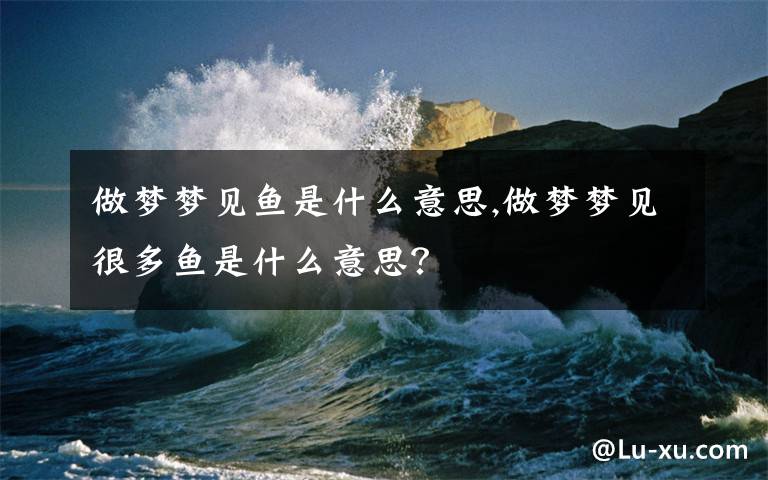 做梦梦见鱼是什么意思,做梦梦见很多鱼是什么意思？