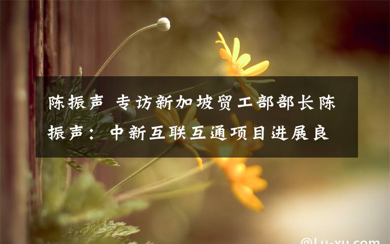 陈振声 专访新加坡贸工部部长陈振声：中新互联互通项目进展良好效果显著