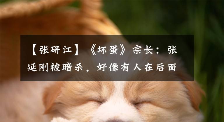 【张研江】《坏蛋》宗长：张延刚被暗杀，好像有人在后面做。