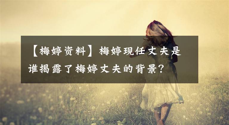 【梅婷资料】梅婷现任丈夫是谁揭露了梅婷丈夫的背景？