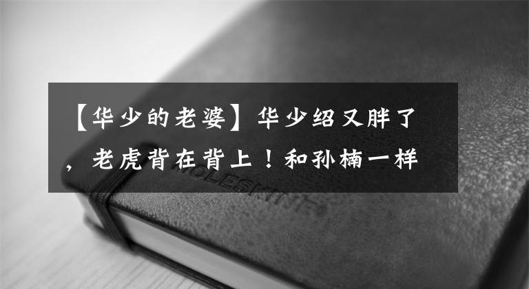 【华少的老婆】华少绍又胖了，老虎背在背上！和孙楠一样框架的体型是2倍，身体出现问题时会吐血。