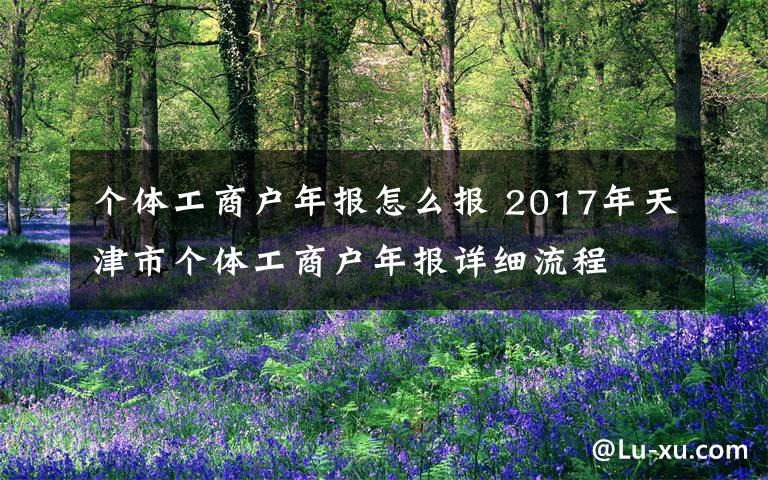 个体工商户年报怎么报 2017年天津市个体工商户年报详细流程