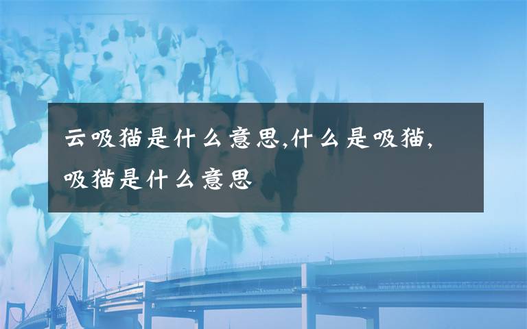 云吸猫是什么意思,什么是吸猫,吸猫是什么意思