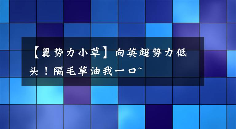 【翼势力小草】向英超势力低头！隔毛草油我一口~