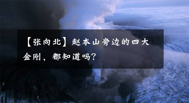 【张向北】赵本山旁边的四大金刚，都知道吗？