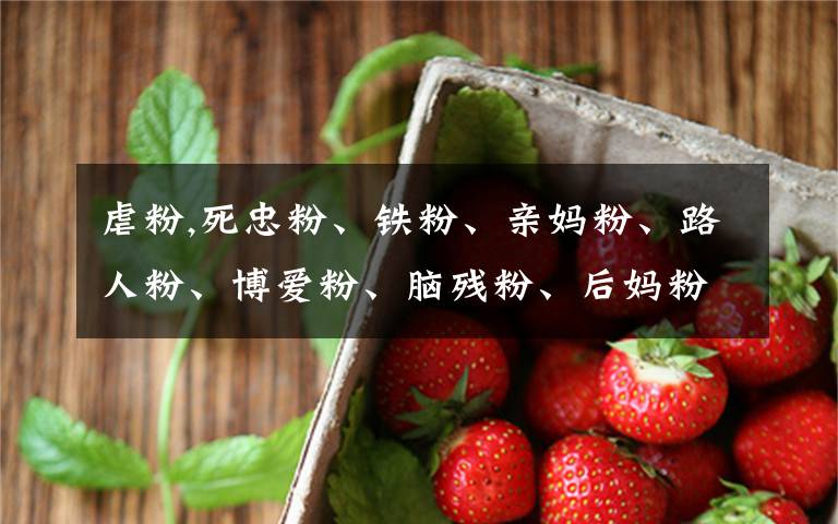 虐粉,死忠粉、铁粉、亲妈粉、路人粉、博爱粉、脑残粉、后妈粉、散粉，能否说说你们都是哪种粉？