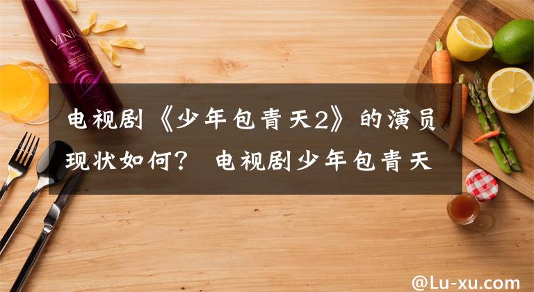 电视剧《少年包青天2》的演员现状如何？ 电视剧少年包青天第一部下载