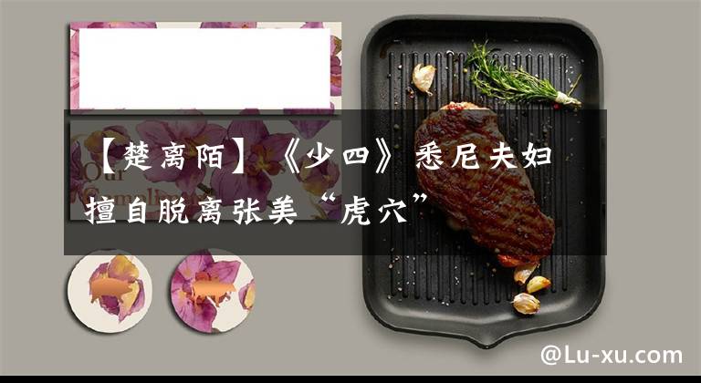 【楚离陌】《少四》悉尼夫妇擅自脱离张美“虎穴”