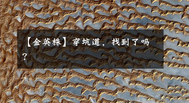 【金英株】穿坑道，找到了吗？