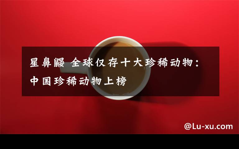 星鼻鼹 全球仅存十大珍稀动物：中国珍稀动物上榜