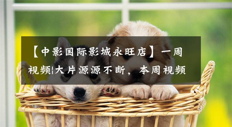 【中影国际影城永旺店】一周视频|大片源源不断，本周视频希望你好看。(莎士比亚)。