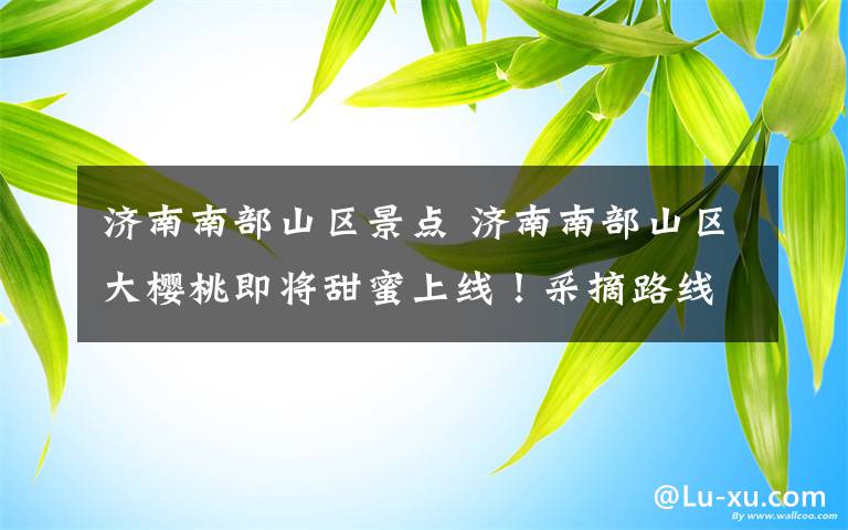 济南南部山区景点 济南南部山区大樱桃即将甜蜜上线！采摘路线看这里