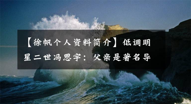 【徐帆个人资料简介】低调明星二世冯思宇：父亲是著名导演，嘴唇和口腔天花板也阻挡不了她的精彩人生。