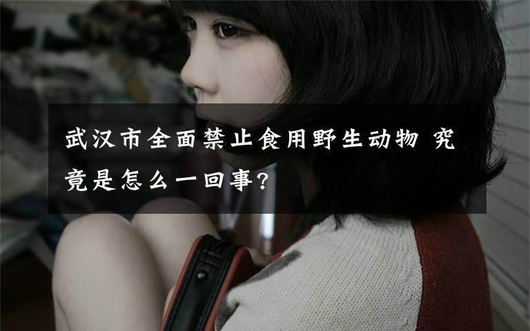 武汉市全面禁止食用野生动物 究竟是怎么一回事?