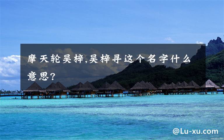 摩天轮吴梓,吴梓寻这个名字什么意思?