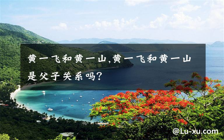 黄一飞和黄一山,黄一飞和黄一山是父子关系吗？