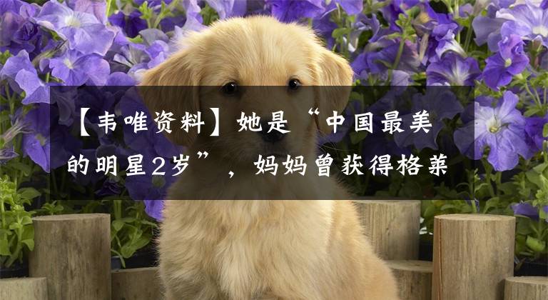 【韦唯资料】她是“中国最美的明星2岁”，妈妈曾获得格莱美，现在整容了，有四对脸。