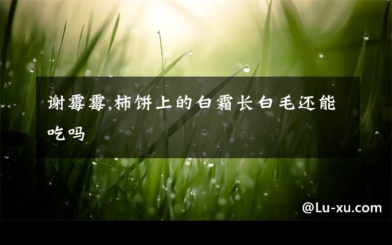 谢霉霉,柿饼上的白霜长白毛还能吃吗