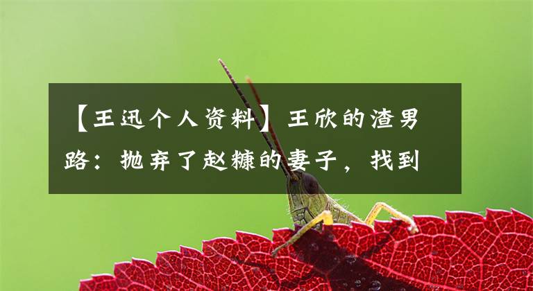 【王迅个人资料】王欣的渣男路：抛弃了赵糠的妻子，找到第三个，然后又找到了四个。