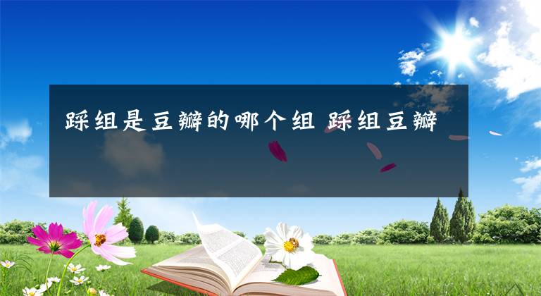 踩组是豆瓣的哪个组 踩组豆瓣