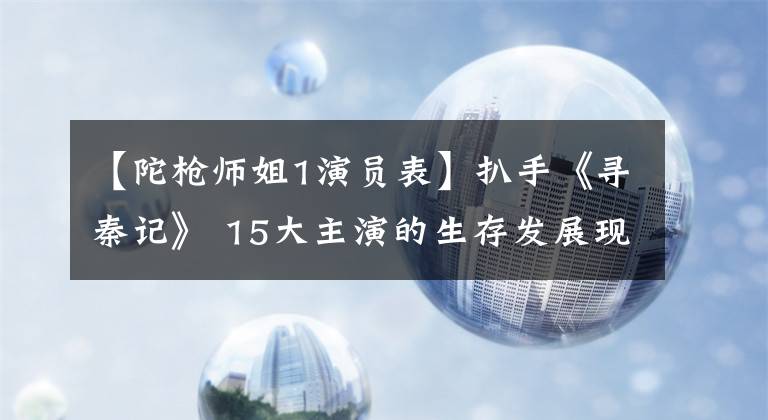 【陀枪师姐1演员表】扒手《寻秦记》 15大主演的生存发展现状